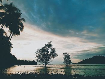 Silhouette trees by sea against sky during sunset