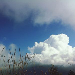 Low angle view of cloudy sky