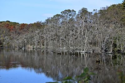 Scenic view of lake against clear sky