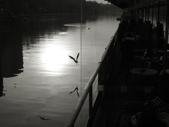 Silhouette birds on lake during sunset