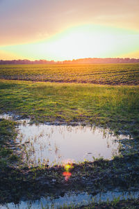 Scenic view of field against sky during sunset