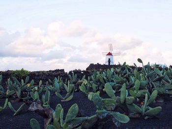 Lighthouse on field against sky