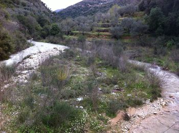 Scenic view of mountains