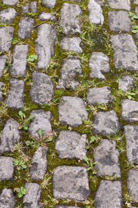 High angle view of stone wall