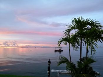 Palm trees by swimming pool against sky during sunset