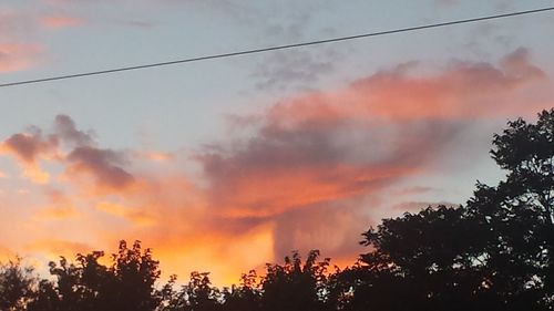 Low angle view of silhouette trees against orange sky