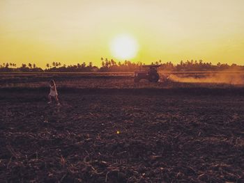 Scenic view of field against sky during sunset