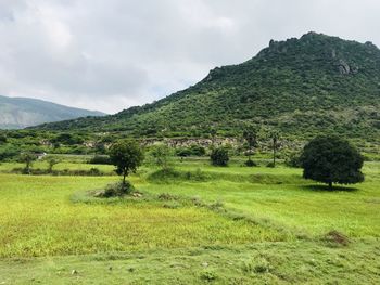 Scenic view of landscape against sky