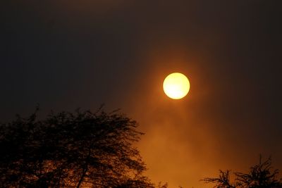 Low angle view of silhouette trees against sky during sunset