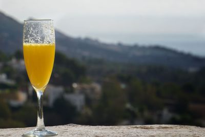 Close-up of mimosa against mountain sky