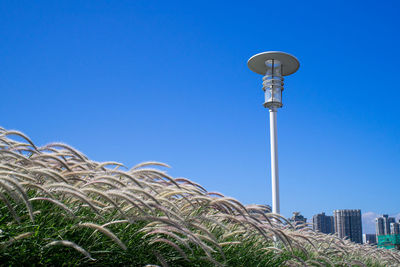 Low angle view of street light and buildings against clear blue sky