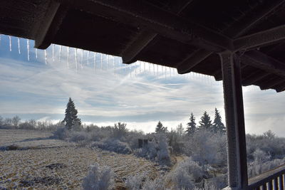 Panoramic shot of trees on snow covered land against sky