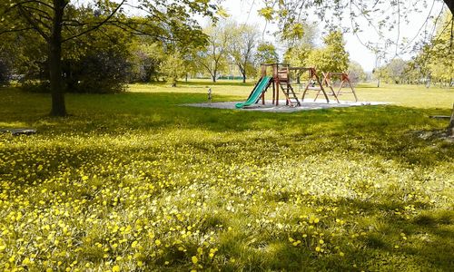 Playground in park