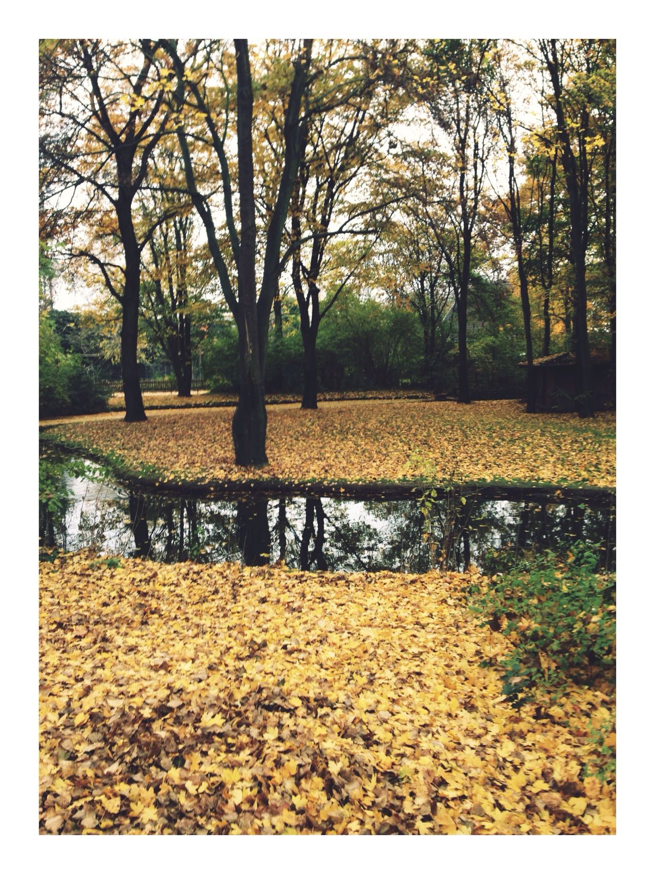 Berliner Zoo