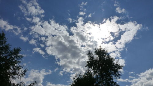 Low angle view of trees against cloudy sky