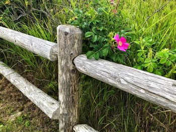 View of wooden fence on field