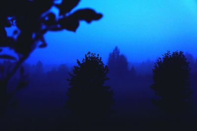 Low angle view of silhouette trees against sky at night