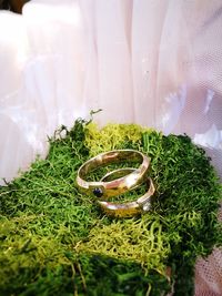 Close-up of heart shape leaf