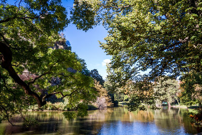 Trees by lake in forest against sky