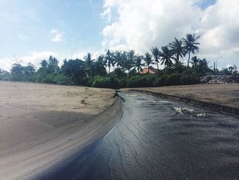 Road by trees on beach against sky
