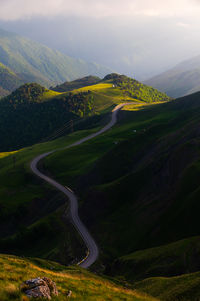 environment
