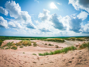 Scenic view of landscape against sky