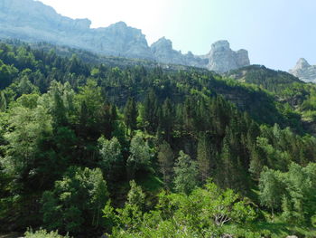 Scenic view of trees and mountains against sky