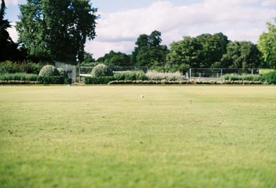 View of soccer field