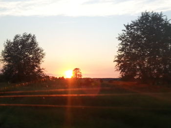 Sun shining through trees on field