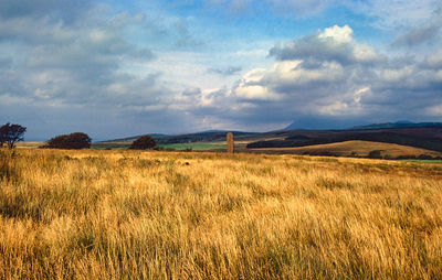 Machrie moor, arran stone ring