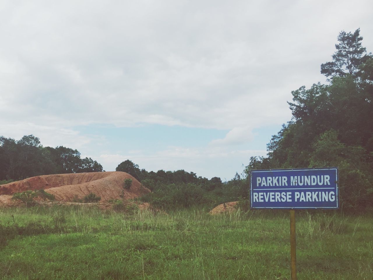 text, western script, communication, information sign, sky, tree, sign, grass, field, landscape, capital letter, guidance, warning sign, non-western script, tranquility, tranquil scene, nature, information, road sign, day