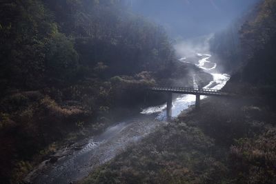 Illuminated bridge in forest
