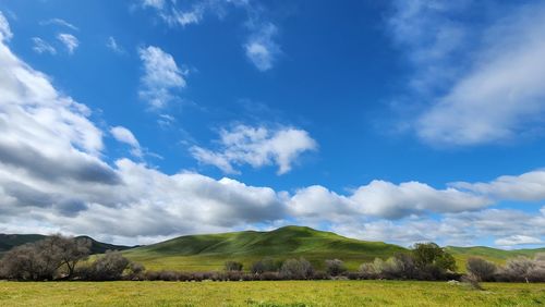 Scenic view of agricultural field against sky