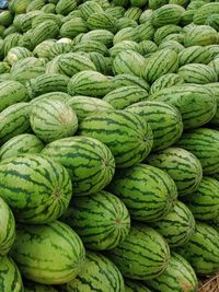 Full frame shot of watermelon fruits for sale in market