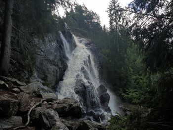 Scenic view of waterfall in forest