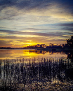 Scenic view of lake at sunset