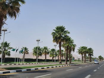 Palm trees on road against clear sky