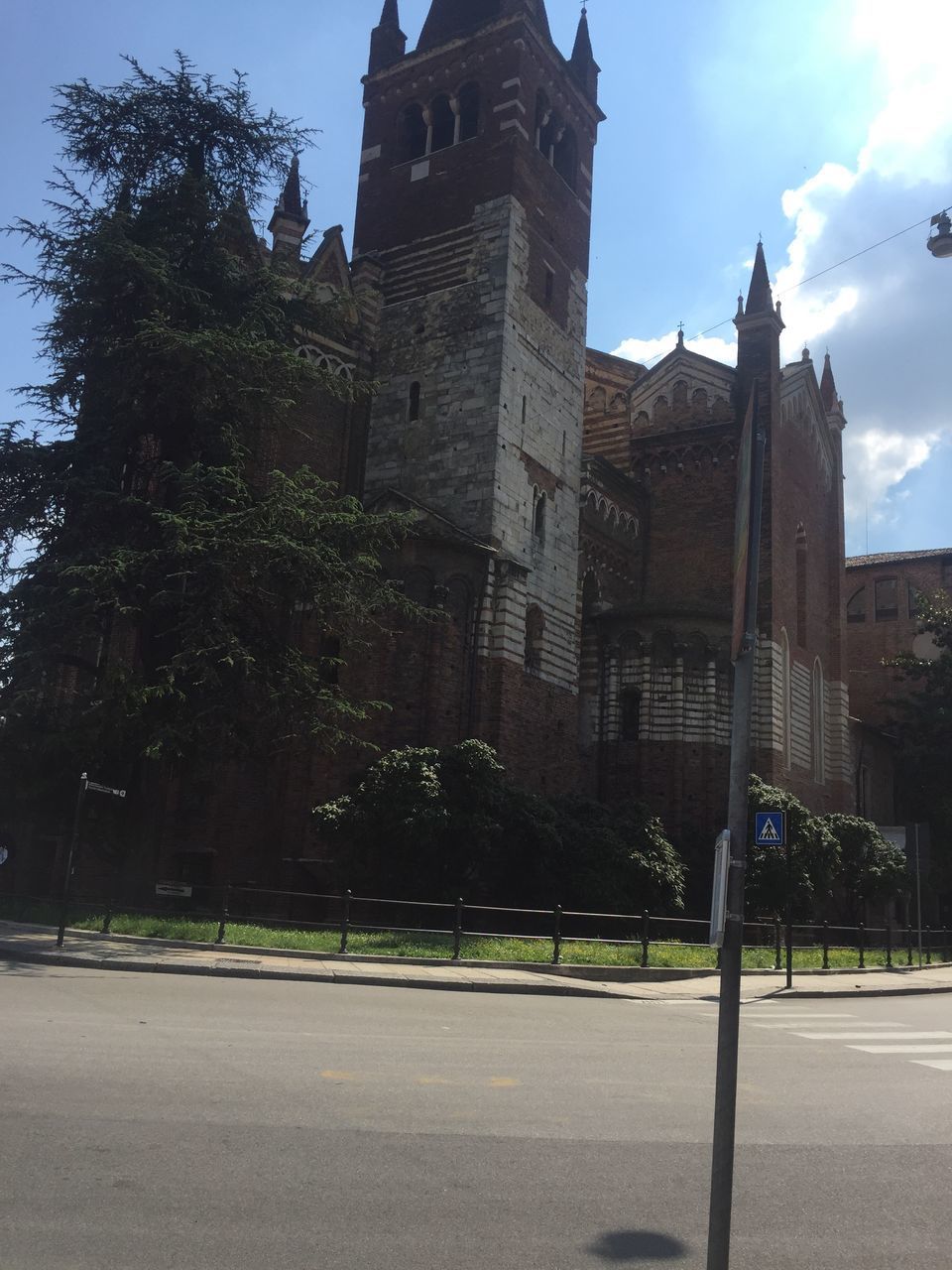 LOW ANGLE VIEW OF TREES AND BUILDINGS AGAINST SKY