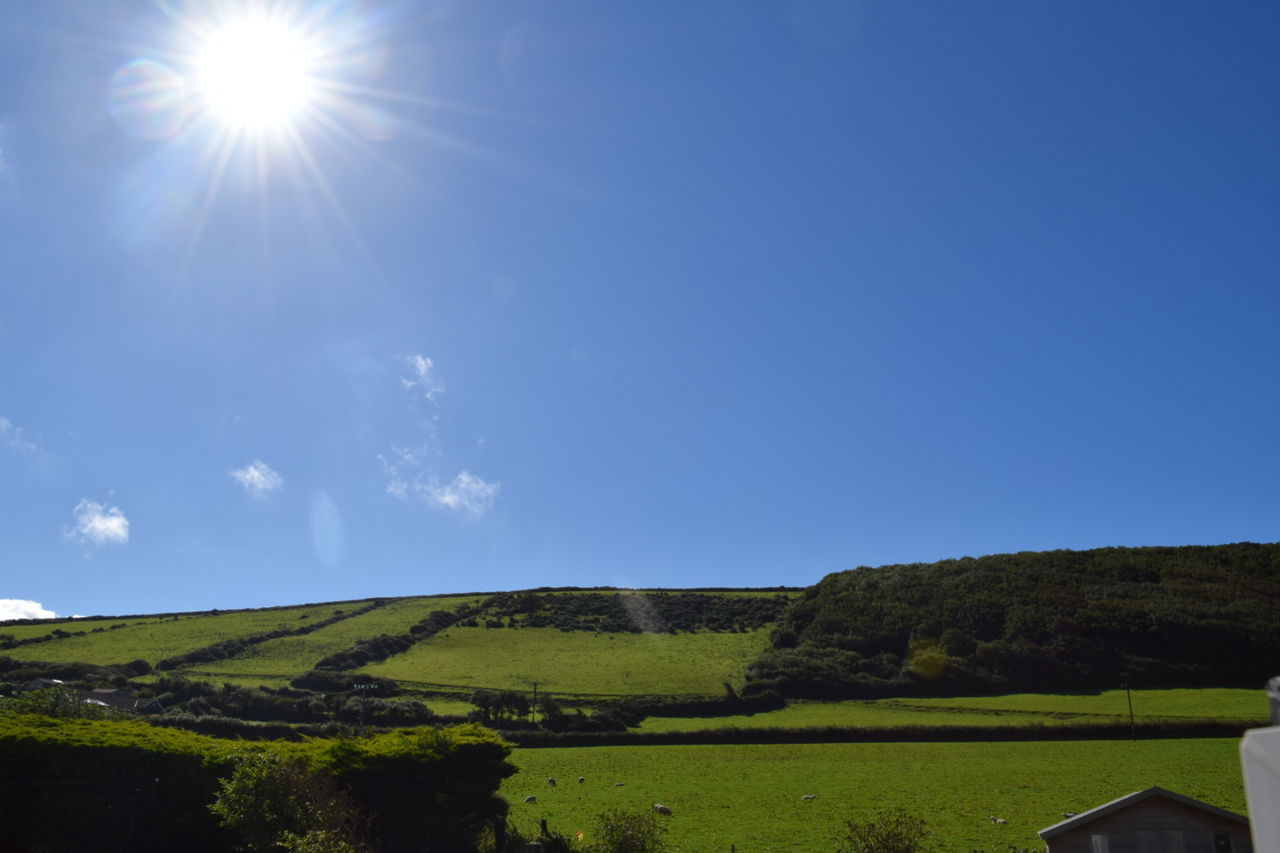 SCENIC VIEW OF AGRICULTURAL FIELD AGAINST CLEAR SKY