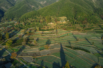 High angle view of townscape