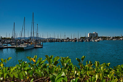Sailboats in sea against clear blue sky