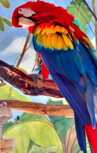 Low angle view of a bird perching on branch