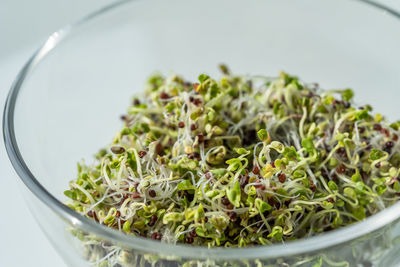 Close-up of food in glass