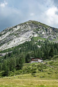 Scenic view of trees and houses against sky