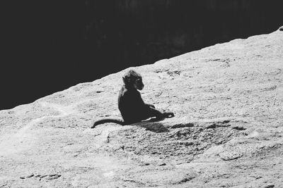 Rear view of man sitting on rock