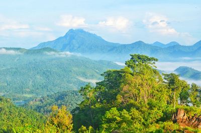 Wherever you see, you'll see the beauty of mother earth. jamur hill bengkayang, wes borneo indonesia