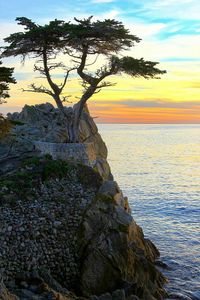 Scenic view of sea at sunset