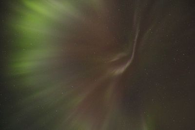 Low angle view of star field against sky at night