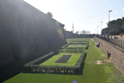 Footpath in garden against sky