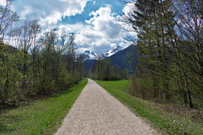 Road along plants and trees against sky
